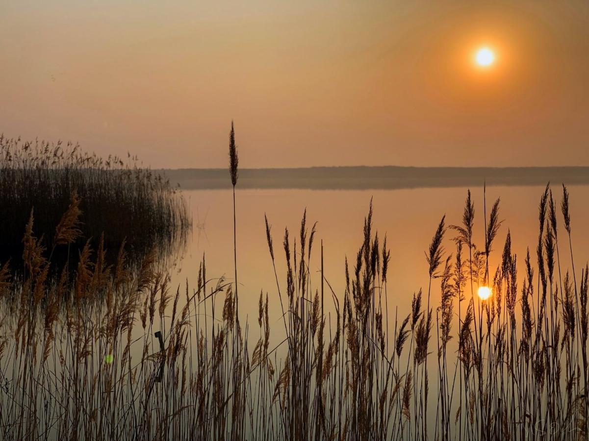Die Moewen Vetschau Dış mekan fotoğraf